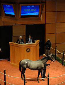 Medaglia d'Oro Colt Brings $450,000 at F-T Medaglia d'Oro Colt Brings $450,000 at F-T