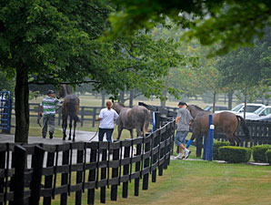 Uncertain Times Concern F-T July Consignors Uncertain Times Concern F-T July Consignors