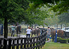 Uncertain Times Concern F-T July Consignors Uncertain Times Concern F-T July Consignors
