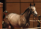 Harlan's Holiday Colt Sells for $225,000 Harlan's Holiday Colt Sells for $225,000