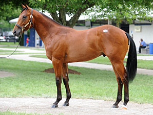 Stonestreet, Bolton Go to $310k at F-T Stonestreet, Bolton Go to $310k at F-T