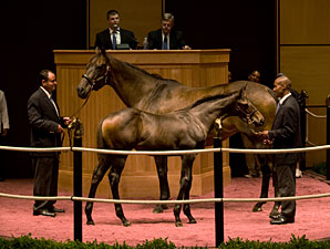 Richbabe and Foal Top Heiligbrodts' Dispersal Richbabe and Foal Top Heiligbrodts' Dispersal