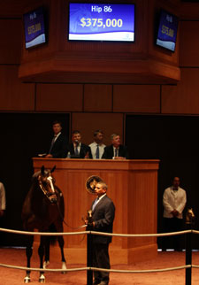 Gross, Average Rise at F-T July Yearling Sale Gross, Average Rise at F-T July Yearling Sale