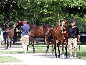 Average Up at Fasig-Tipton Kentucky July Average Up at Fasig-Tipton Kentucky July