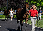 Economy Squeezes F-T July Yearling Sale