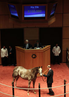 F-T Kentucky October Sale Has 1,007 Yearlings F-T Kentucky October Sale Has 1,007 Yearlings