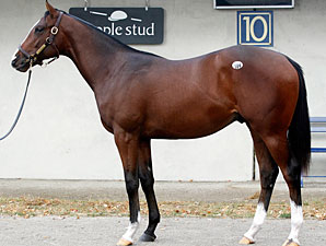 F-T Fall Yearling Sale Opens With Upswings F-T Fall Yearling Sale Opens With Upswings