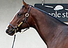 F-T Fall Yearling Sale Opens With Upswings F-T Fall Yearling Sale Opens With Upswings