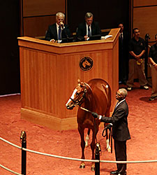 Tapit Filly Stars as F-T July Sees Gains