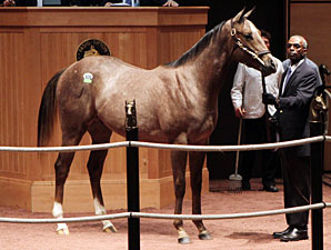 Surge Continues at Fasig-Tipton October Sale Surge Continues at Fasig-Tipton October Sale