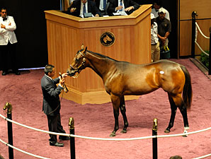 Medaglia d'Oro Filly Sells for $370,000 Medaglia d'Oro Filly Sells for $370,000