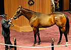 Medaglia d'Oro Filly Sells for $370,000
