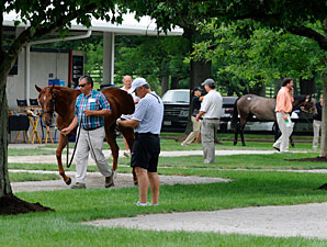 F-T Auction Kicks Off Yearling Selling Season F-T Auction Kicks Off Yearling Selling Season