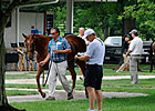 F-T Auction Kicks Off Yearling Selling Season F-T Auction Kicks Off Yearling Selling Season