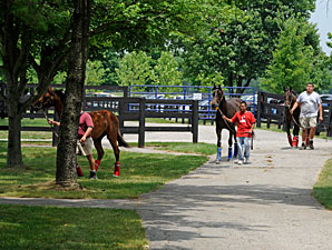 F-T Day One: Yearlings to Watch F-T Day One: Yearlings to Watch