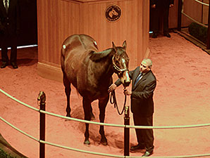 Hidden Expression Brings $360,000 at F-T Hidden Expression Brings $360,000 at F-T