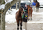 F-T Sale Shows Consignors, Buyers Resilient F-T Sale Shows Consignors, Buyers Resilient