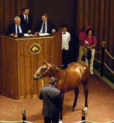 Fasig-Tipton Sale Opens With Decline in Average; Buy-Back Rate Soars Fasig-Tipton Sale Opens With Decline in Average; Buy-Back Rate Soars