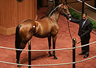 Stonestreet Buys Hillaby for $500,000 at F-T Stonestreet Buys Hillaby for $500,000 at F-T