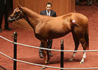 Bedford Land First Seven-Figure Horse of Day Bedford Land First Seven-Figure Horse of Day