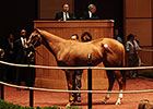 Bedford Land Tops Horses of Racing Age Sale Bedford Land Tops Horses of Racing Age Sale