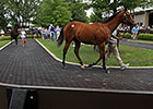 Fasig-Tipton July Yearlings See Stable Market Fasig-Tipton July Yearlings See Stable Market