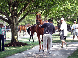 F-T July Expected to Continue Market Upswing F-T July Expected to Continue Market Upswing