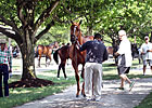 F-T July Expected to Continue Market Upswing F-T July Expected to Continue Market Upswing