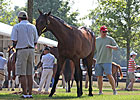 Profits Rise for Breeders at F-T July Sale Profits Rise for Breeders at F-T July Sale