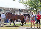 Market Views: Looking Back at F-T July Sale Market Views: Looking Back at F-T July Sale
