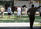 Market Buzz: Optimism High at F-T July Sale Market Buzz: Optimism High at F-T July Sale
