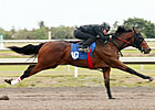 Hot Prospects Adorn Fasig-Tipton Florida Sale