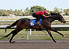 Stonestreet Lands Malibu Moon Filly
