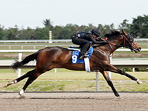 Smart Strike Filly Brings $700,000 at F-T Smart Strike Filly Brings $700,000 at F-T
