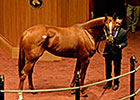 Princess of Sylmar Sold to Shadai for $3.1M Princess of Sylmar Sold to Shadai for $3.1M