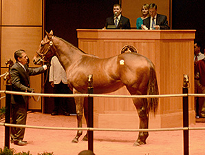 Fasig-Tipton Opener Gains Across the Board Fasig-Tipton Opener Gains Across the Board