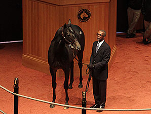 Medaglia d'Oro Colt Sells for $440,000 Medaglia d'Oro Colt Sells for $440,000