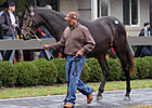 F-T Ky. Fall Yearling Sale Rebounds F-T Ky. Fall Yearling Sale Rebounds
