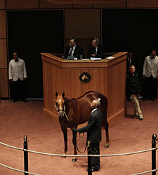 F-T Kentucky October Sale Soars at Start F-T Kentucky October Sale Soars at Start