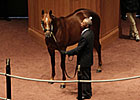F-T Kentucky October Sale Soars at Start