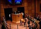 Looking Back: Buyers Pleased With Prices at Fasig-Tipton Kentucky Sale Looking Back: Buyers Pleased With Prices at Fasig-Tipton Kentucky Sale