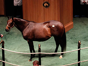 Hatta Diamond Brings $170,000 at F-T Sale Hatta Diamond Brings $170,000 at F-T Sale