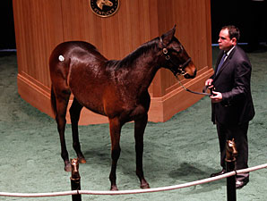 Indian Charlie Filly Sells for $245,000 Indian Charlie Filly Sells for $245,000