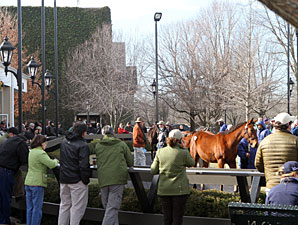 F-T Winter Mixed Sale Finishes with Fireworks F-T Winter Mixed Sale Finishes with Fireworks