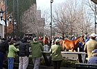 F-T Winter Mixed Sale Finishes with Fireworks F-T Winter Mixed Sale Finishes with Fireworks