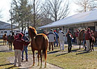 82 Supplements to F-T Winter Mixed Sale 82 Supplements to F-T Winter Mixed Sale