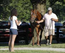 Fasig-Tipton July Sale Faces Challenge to Top Last Year Fasig-Tipton July Sale Faces Challenge to Top Last Year