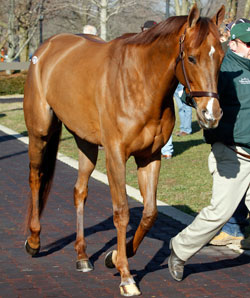 Three Horses Bring Six Figures Early at F-T Three Horses Bring Six Figures Early at F-T