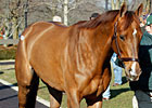 Three Horses Bring Six Figures Early at F-T Three Horses Bring Six Figures Early at F-T