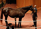 Fancy Prancer Sells For $200,000 at F-T